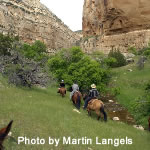 Wyoming Ranch Adventure - Branding Fire